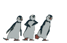 pinguinsdansant.gif (44208 bytes)